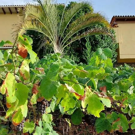 Prázdninový dům Casa En Ecologica - Wifi La Orotava